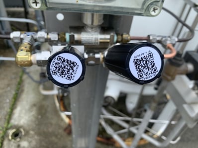 large-Media 4-1750D1F2-6EC7-43F0-AA6A-44F144290A44