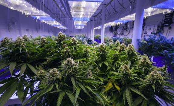 shutterstock_1803660946-1-(2)